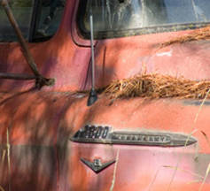 zzzzP1020117 Old truck - large aperture - tripod - crop-3 - size change.jpg
