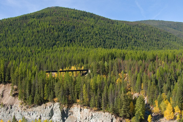 zz comp Fz50 P1020185 Railroad bridge above goat lick.jpg