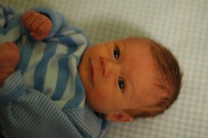 DSC_0244.JPG