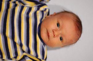 DSC_0255.JPG