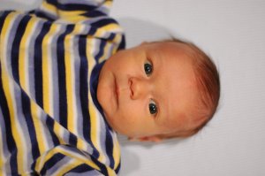 DSC_0256.JPG