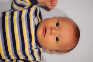 DSC_0267.JPG