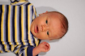 DSC_0281.JPG