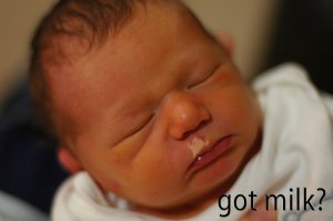 got milk.jpg