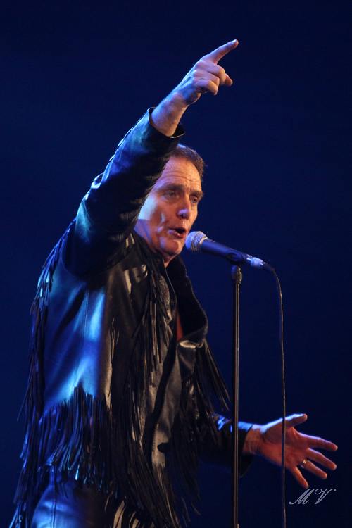 Alvin Stardust