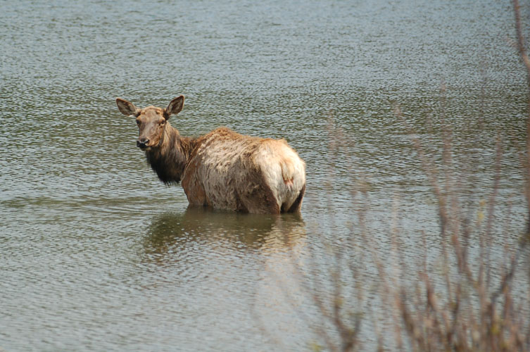 Cooling off