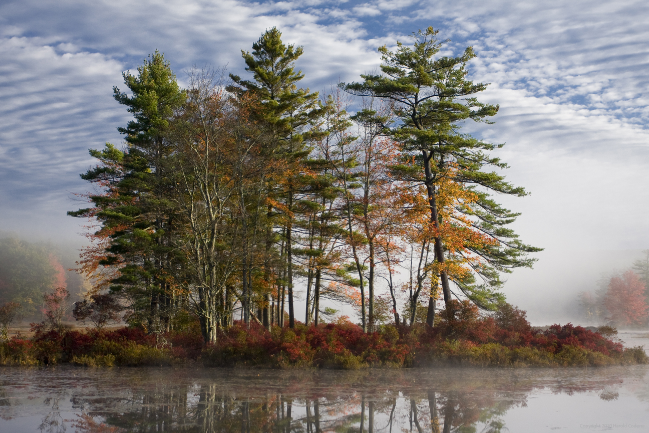 Autumn Island.jpg