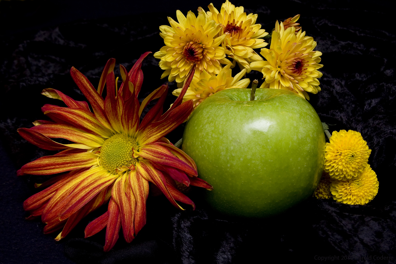 Still Life with Apple.jpg
