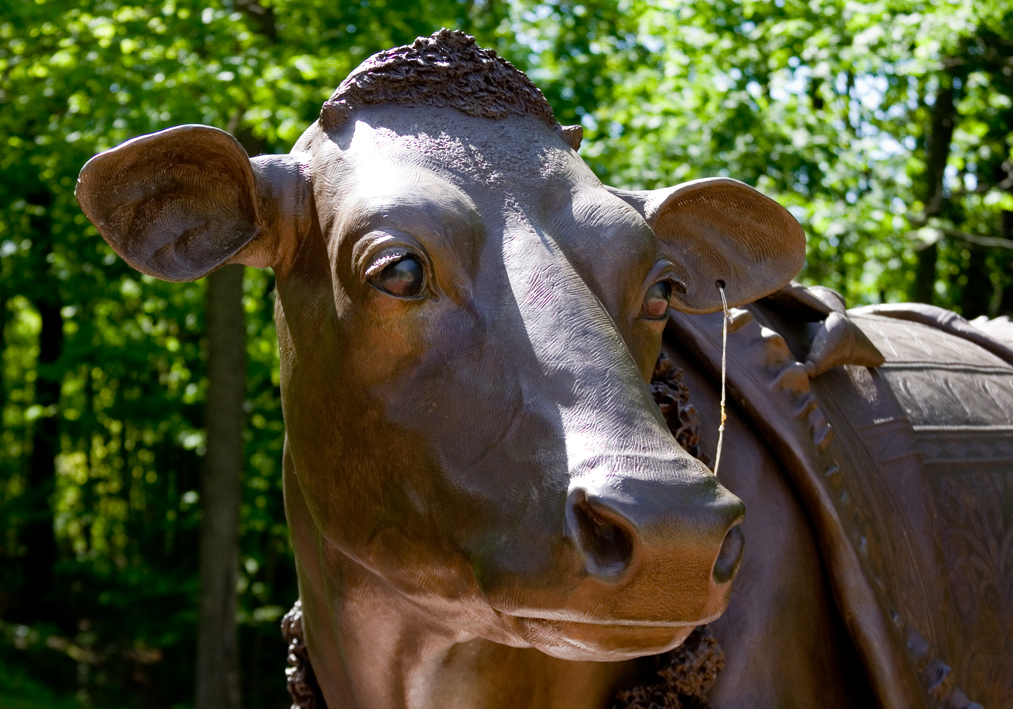 Bronze Cow.jpg