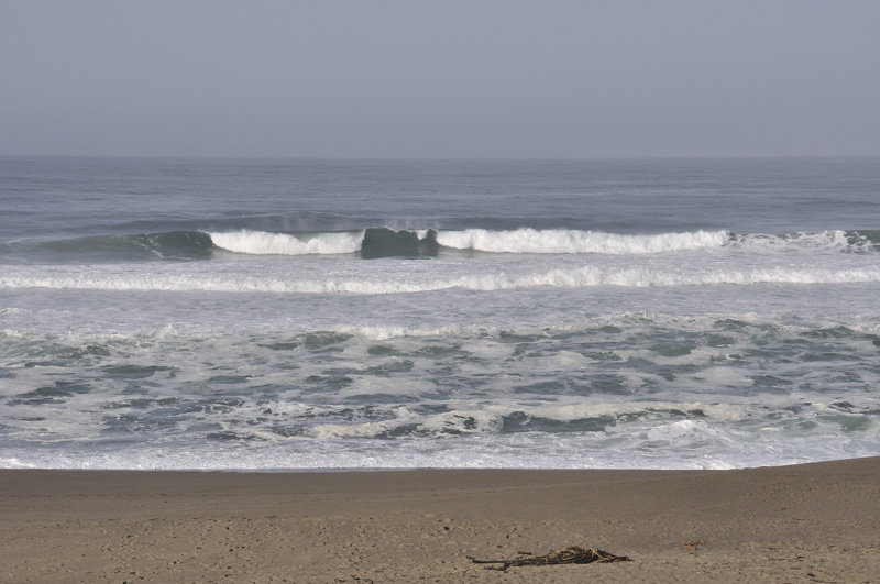 point reyes DSC3477.jpg