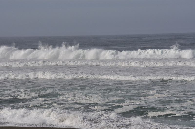 point reyes DSC3488.jpg