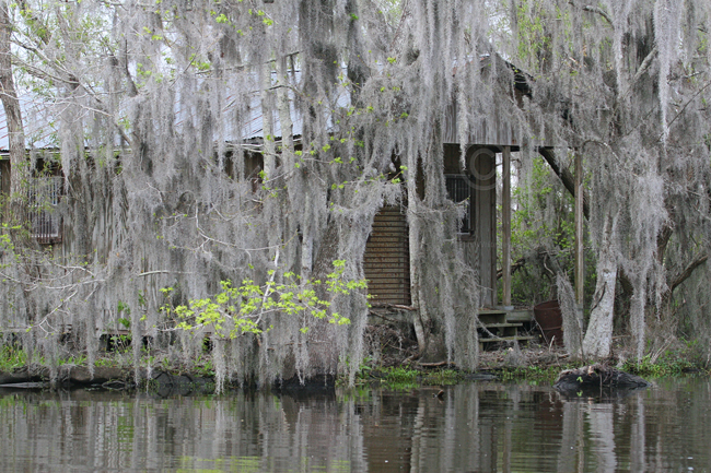 Bayou Shanty Town 9751EWC.jpg
