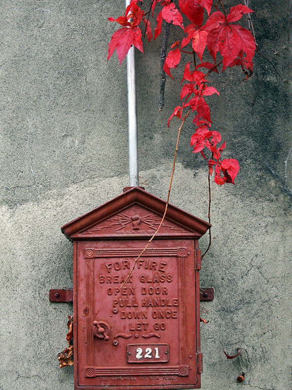 IMG_7152 Fire Alarm Call Box.jpg