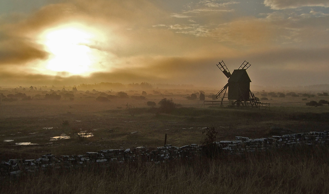 Autumn morning