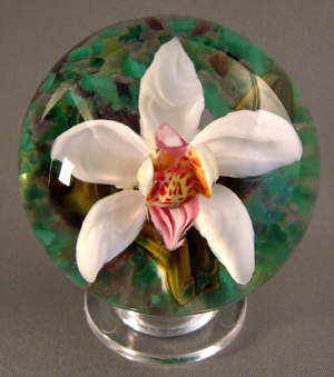 White Orchid