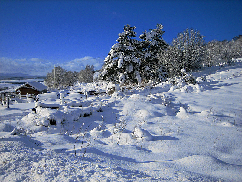 Almost Alpine - Nr Queens View - Tarland