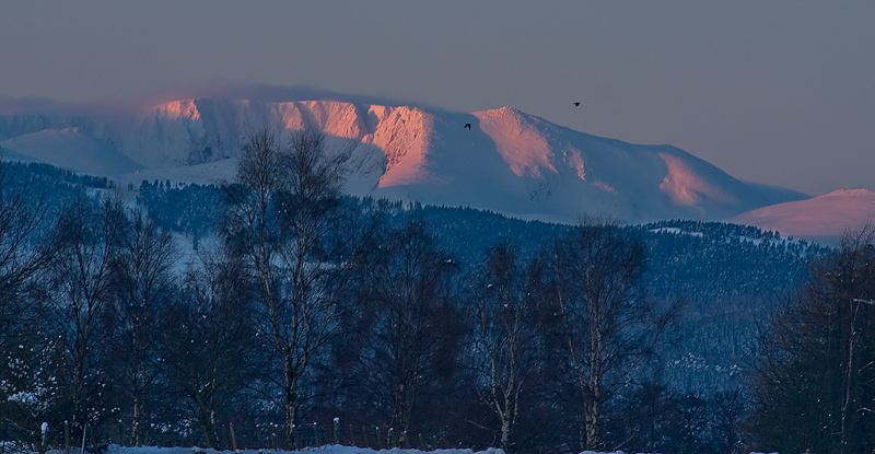 On the way to Lochnagar - Sunrise