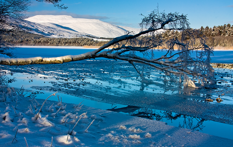 Loch Davan Happiness 2010