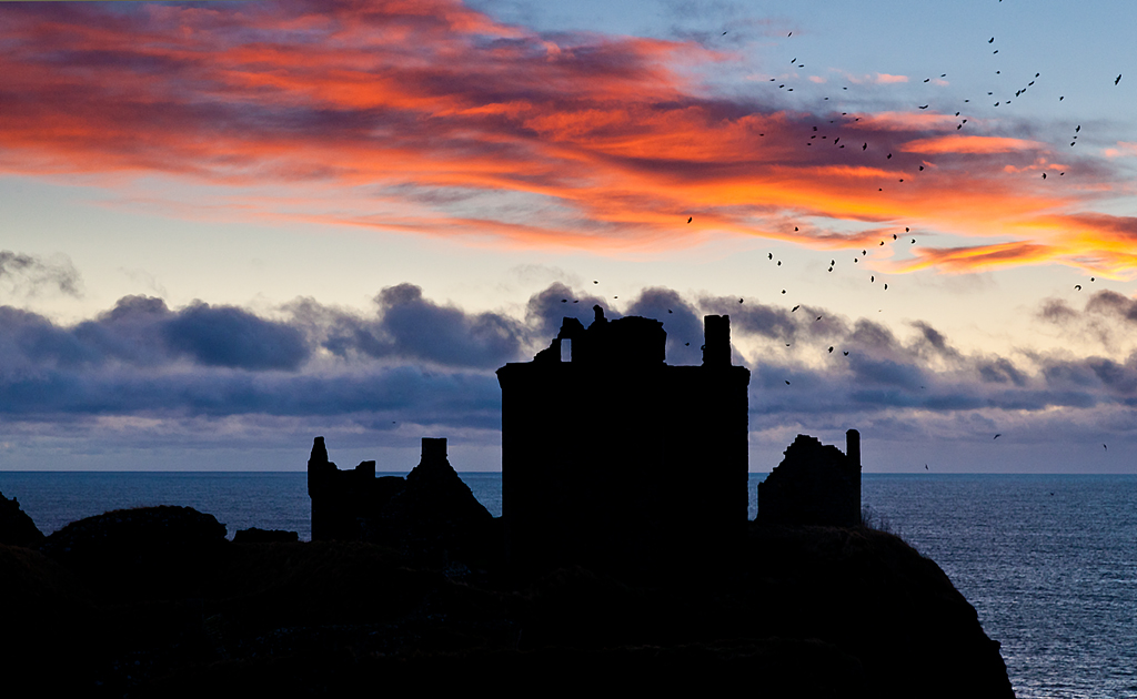 The Crows Dunnottar