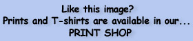PrintShop-2.jpg