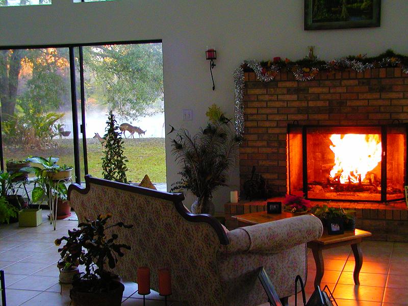 my livenroom