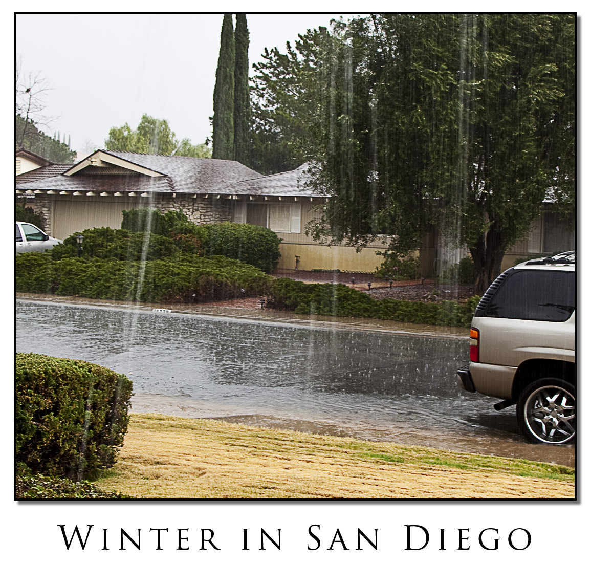 Winter in San Diego