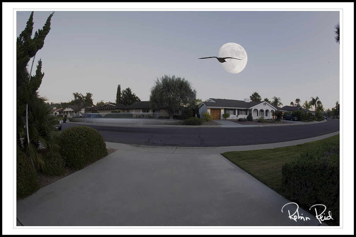 Moonrise