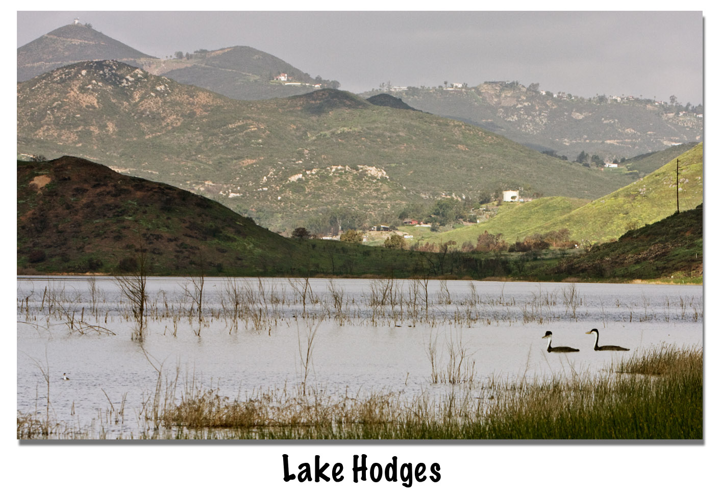 Lake Hodges