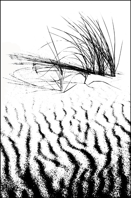 Dune shadows