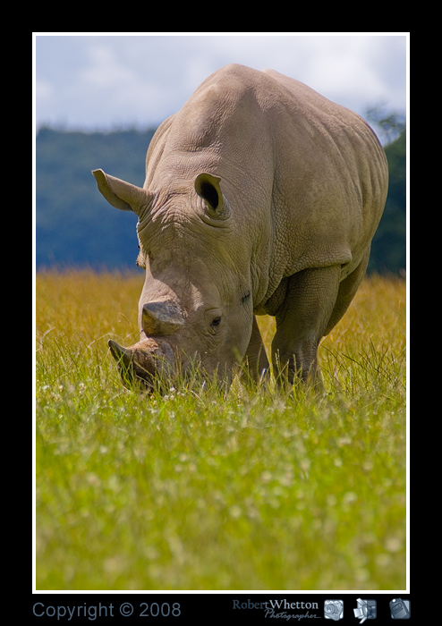 01 Longleat.jpg