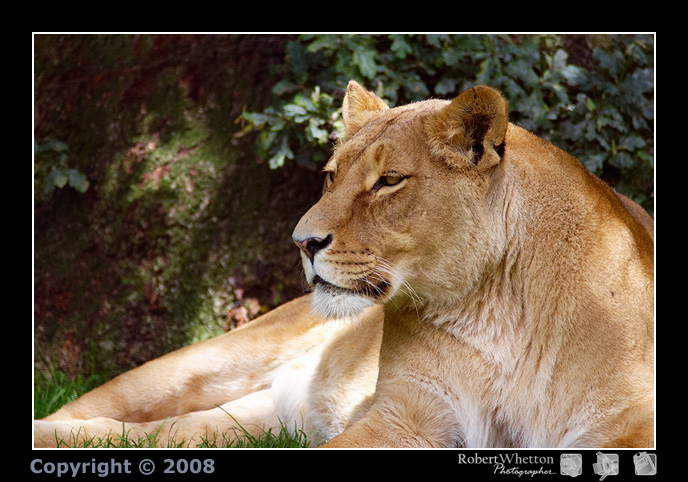 Longleat 13_29_43.jpg