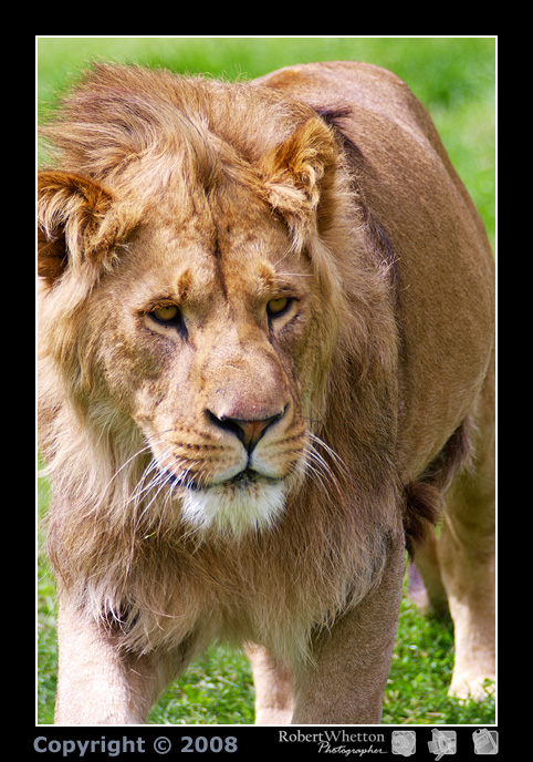 Longleat 13_32_41.jpg