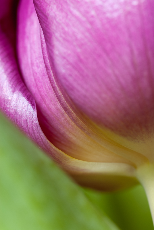 5 April: Close Up