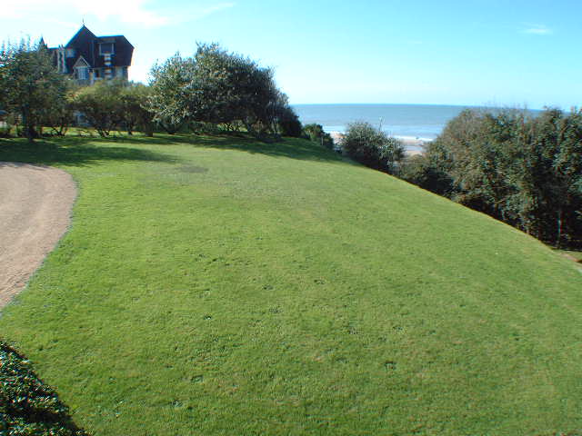 lawn and sea