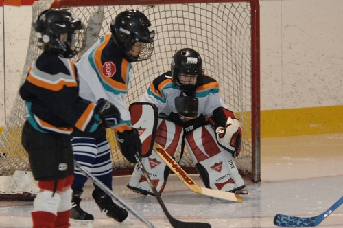 Tyler_Hockey_Goalie_20080315_TYL_8142.JPG
