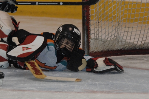 Tyler_Hockey_Goalie_20080315_TYL_8207.JPG