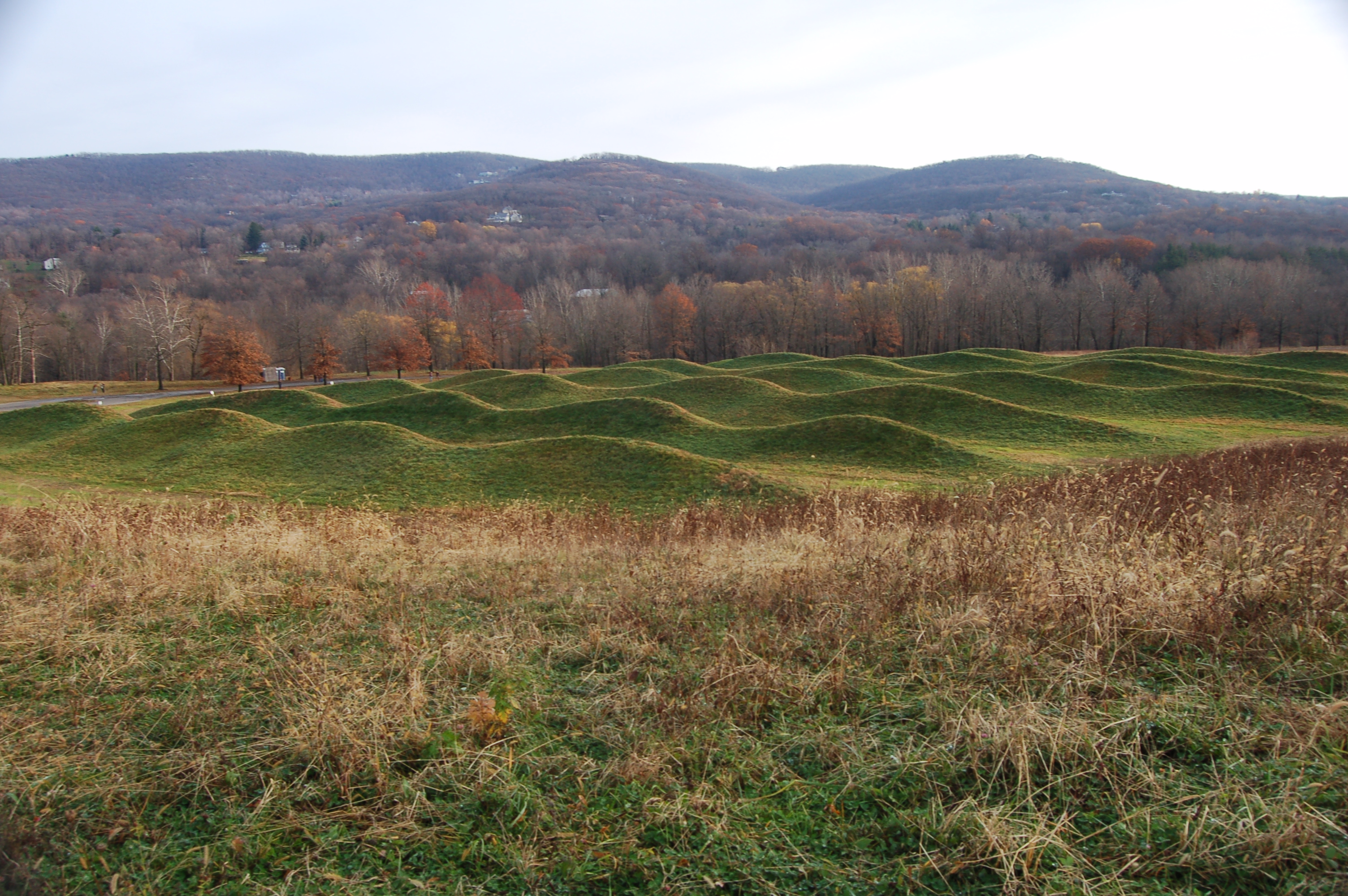 DSC_0288.JPG