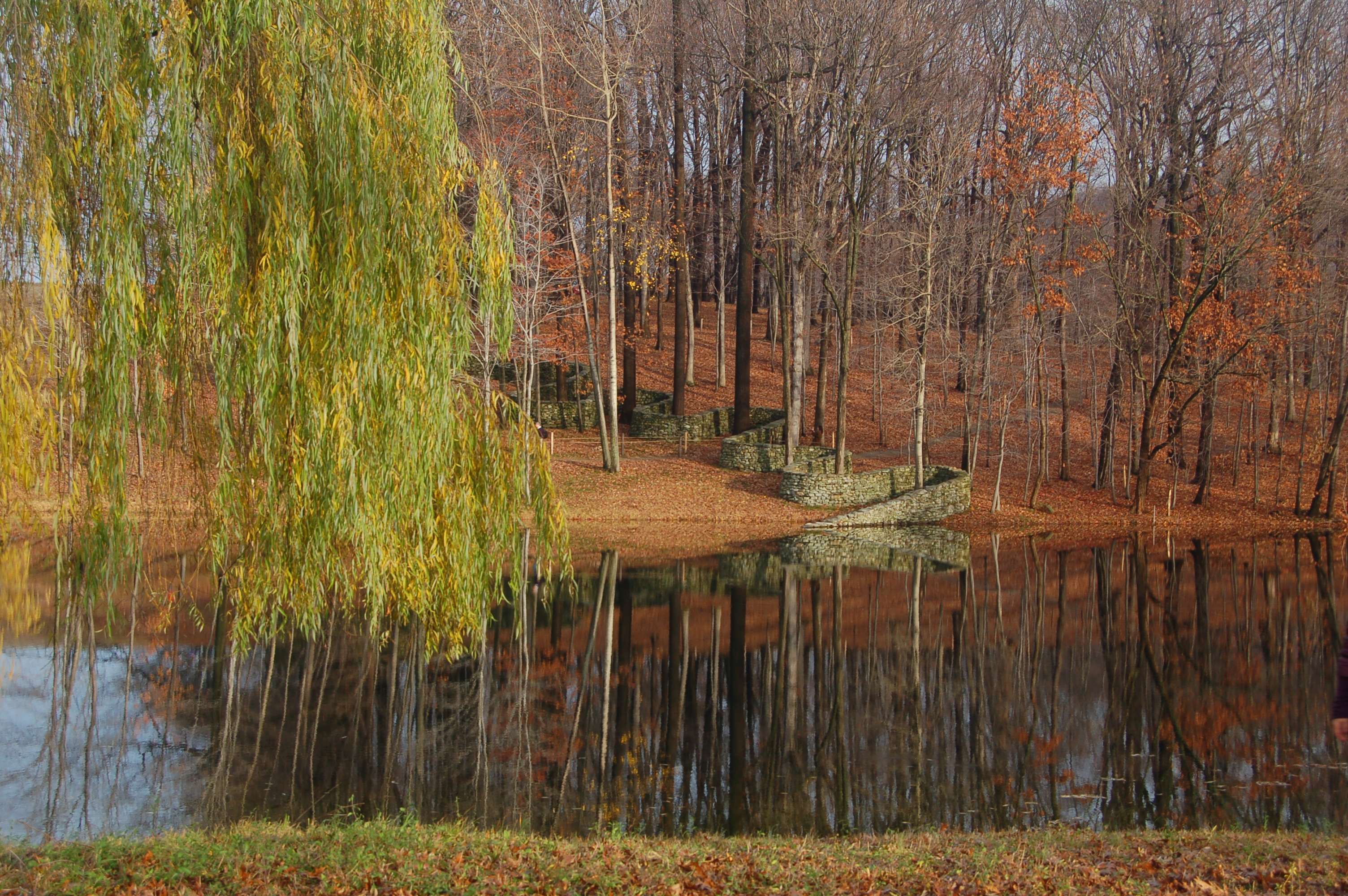 DSC_0301.JPG
