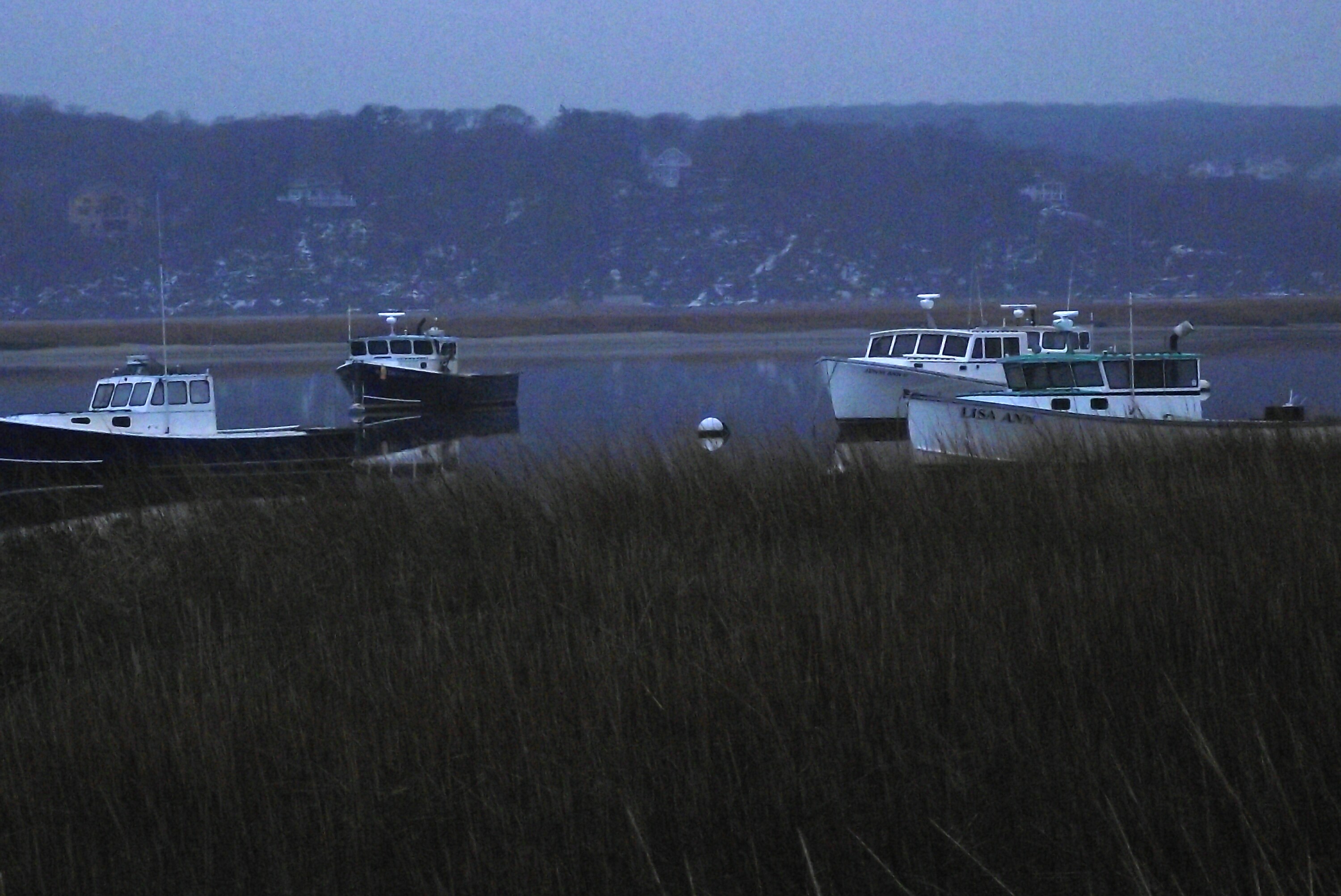 Cedar Beach at Dawn