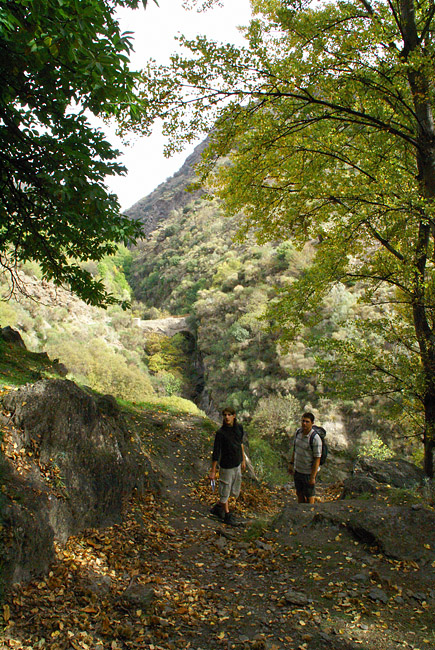 Alpujarras #27