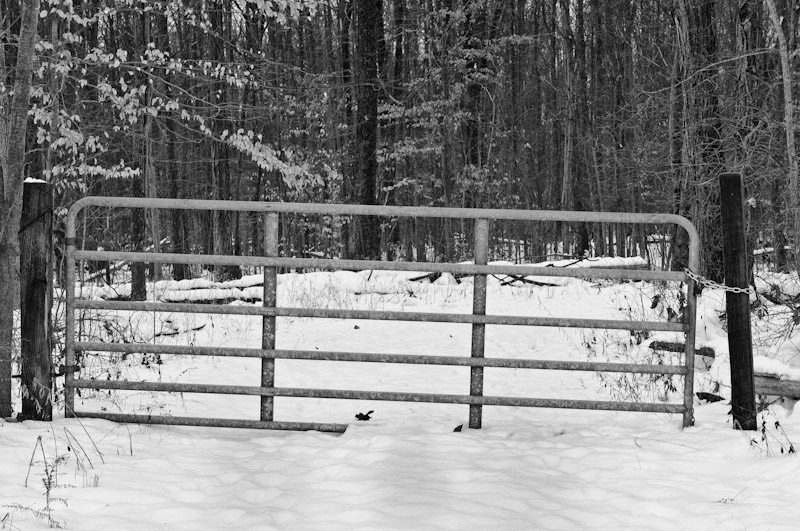 Gate in Winter