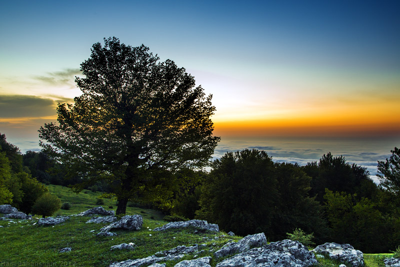 Jahan Nama Protected Area