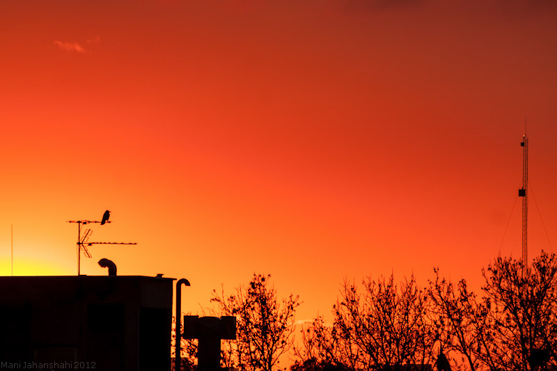 Winter Sunset