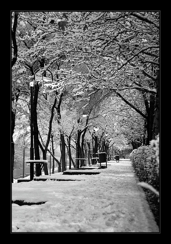 Cold Silence 05