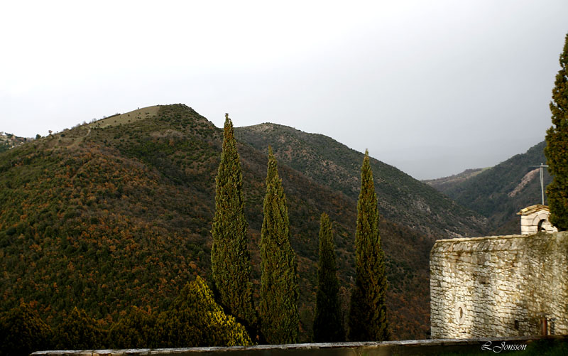 _MG_4102.jpg