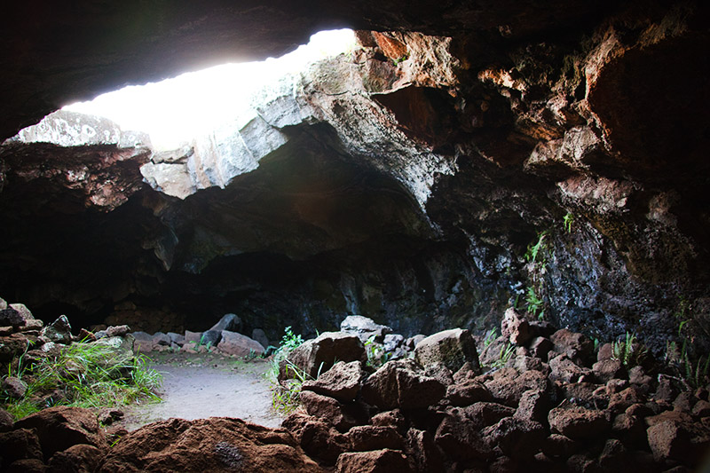 Banana Cave