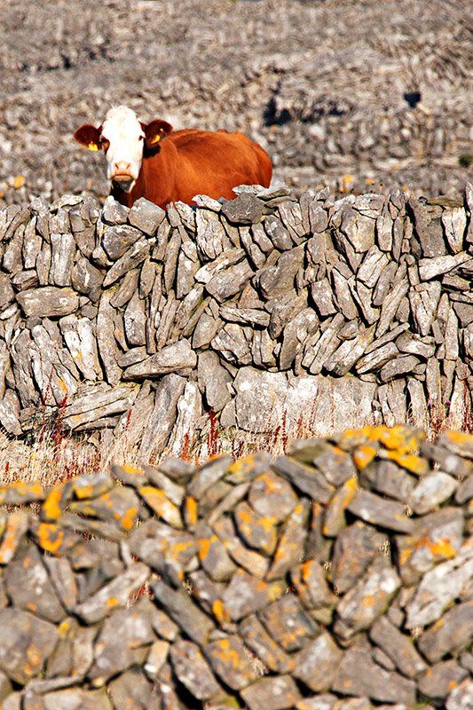 Stone Walls