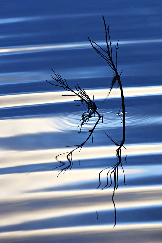 Burren Reflections