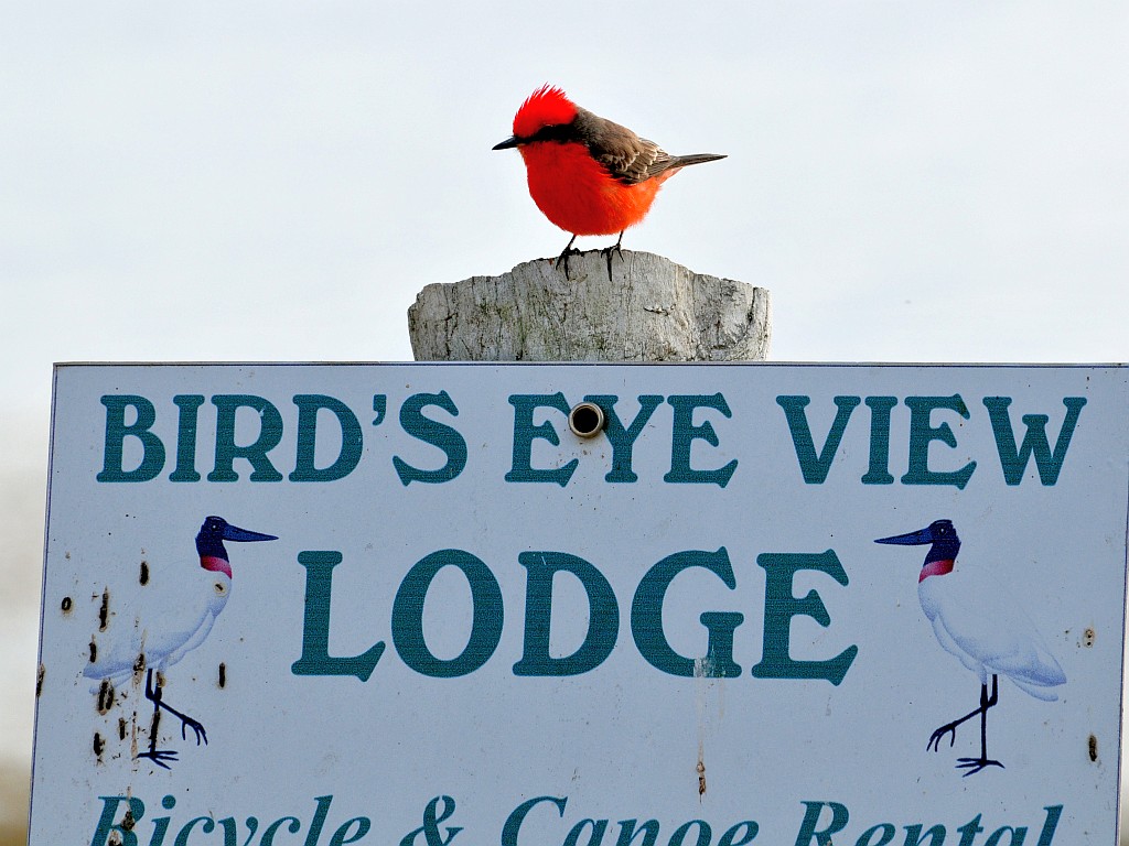 Birds Eye View Sign