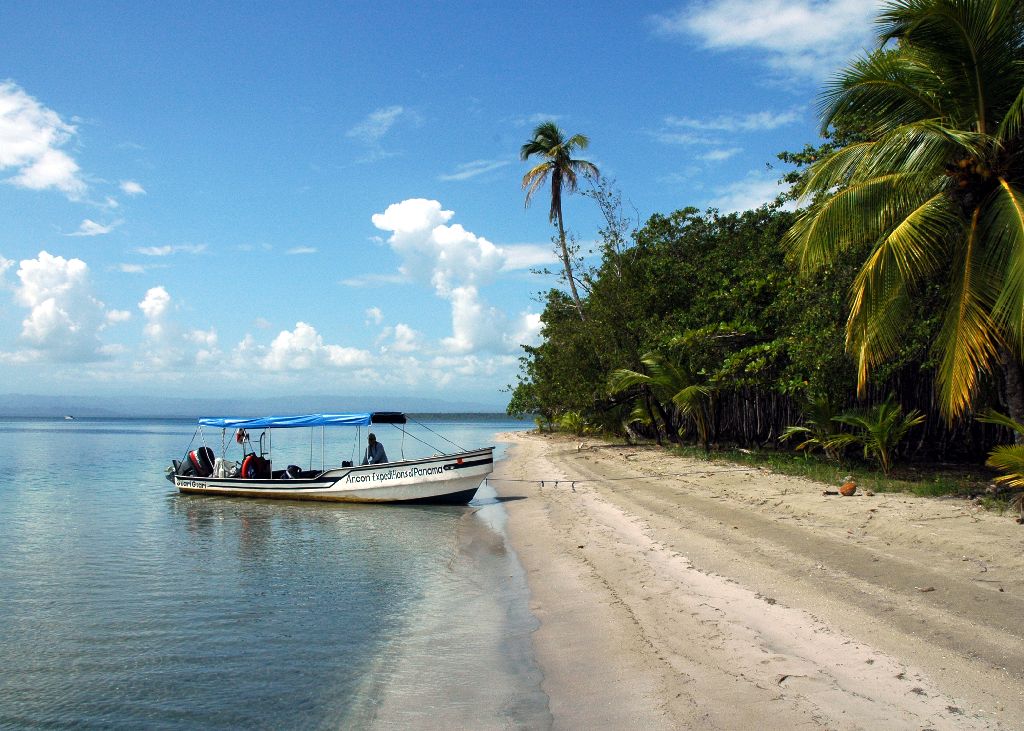 Starfish Beach
